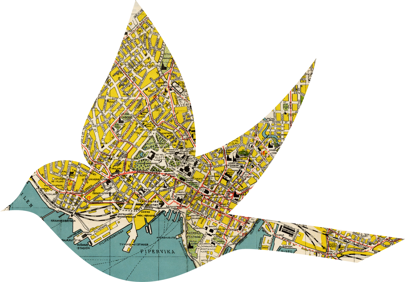 Scanned Weathered Bird-shaped Map Scrap